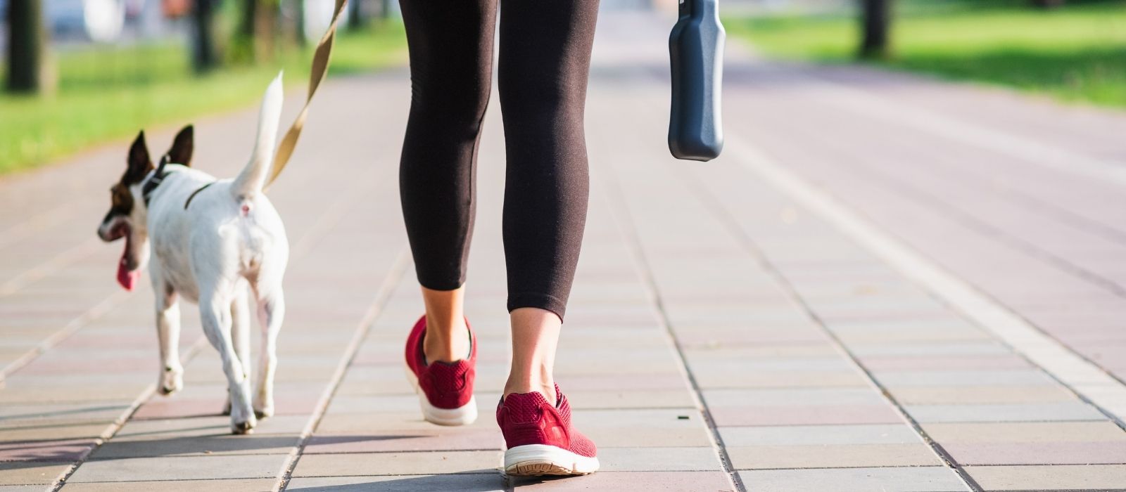how much walking do you need for health