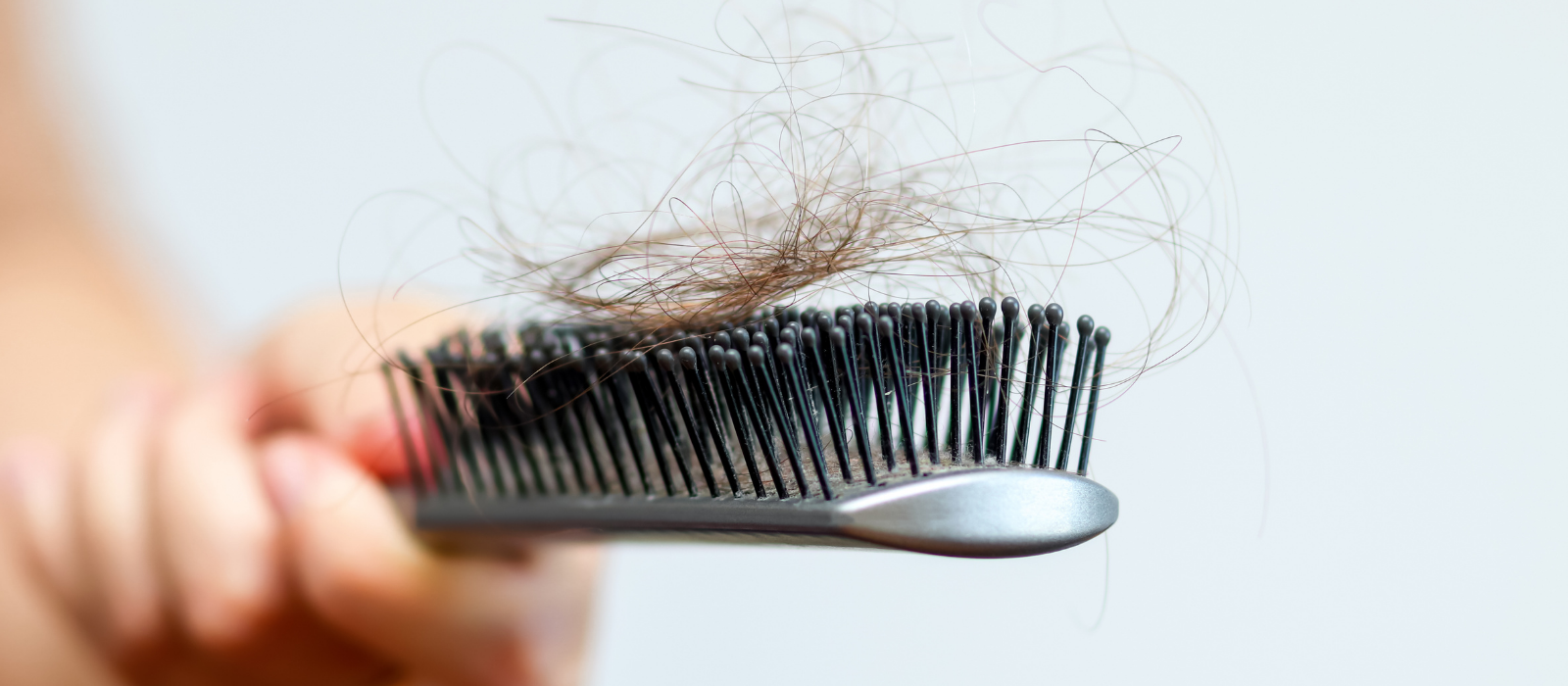 is-my-hair-falling-out-or-just-shedding-how-to-tell-difference